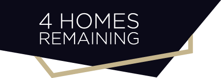 Duchy Homes Promo - 4HomesRemaining
