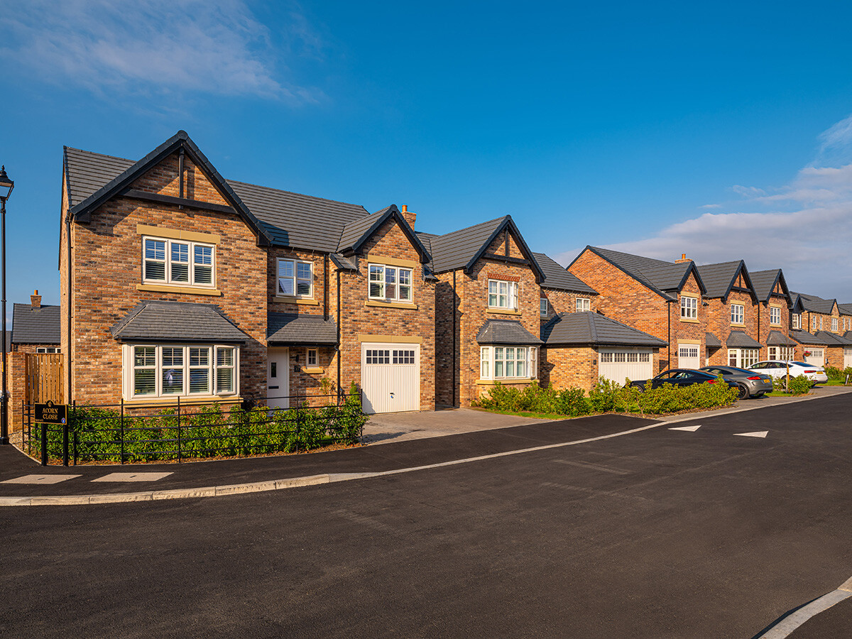 street scene wynyard 2.2-1