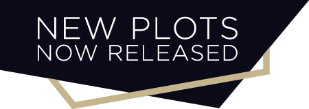 Duchy Homes Promo - new-plots-now-released