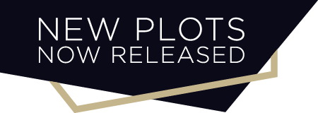 Duchy Homes Promo - new-plots-now-released